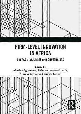 Firm-Level Innovation In Africa