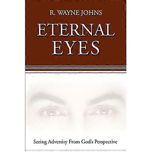 Eternal Eyes: Seeing Adversity from Gods Perspective