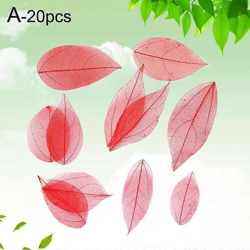 20pcs Natural Skeleton Leaves Pressed Dried Flower for Bookmarks Jewelry Making DIY Handmade Materials
