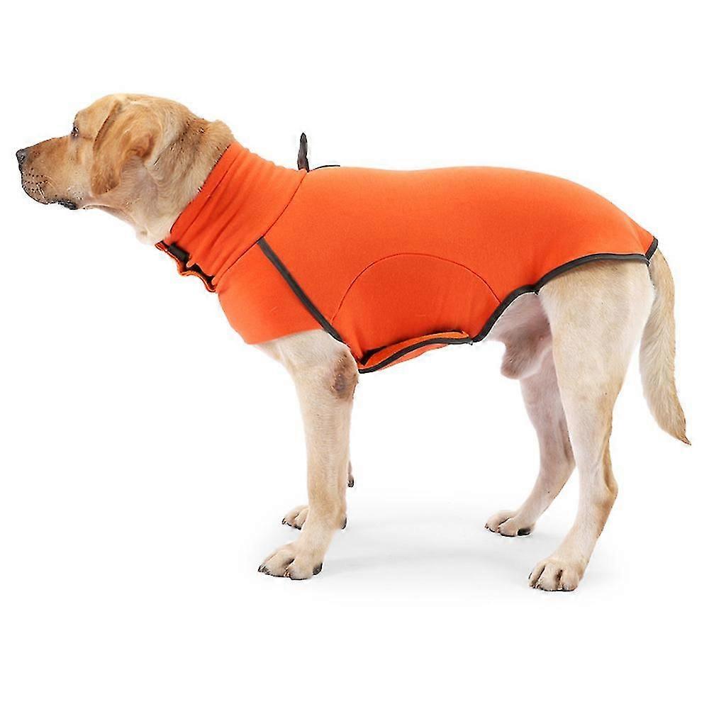 Dog Clothes In Autumn And Winter High