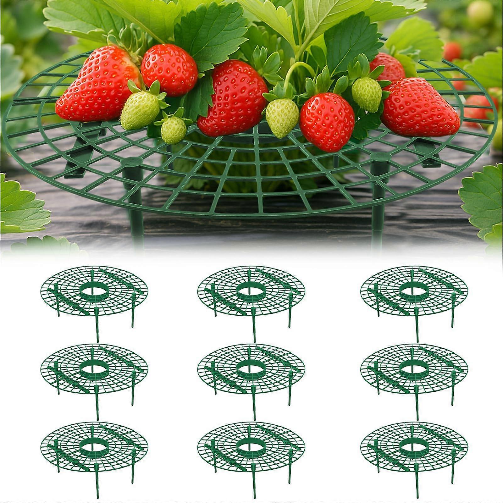 Pack of 10 Orbicular Strawberry Rippers, Support Stand, Snail Protection