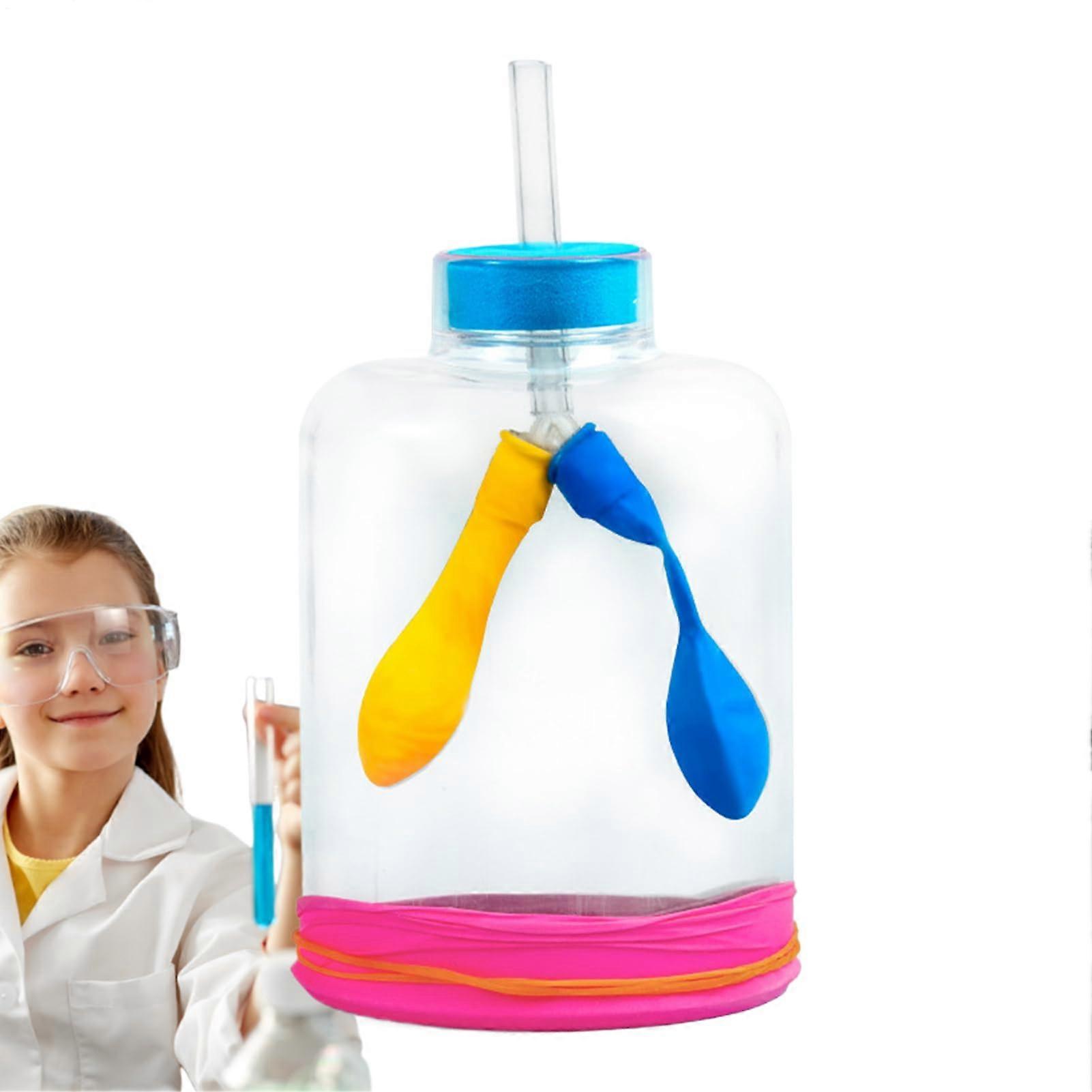 Lung Demonstration Model Plastic Teachable Breathing Model Realistic Lung Function Respiratory System Model Set For Kids