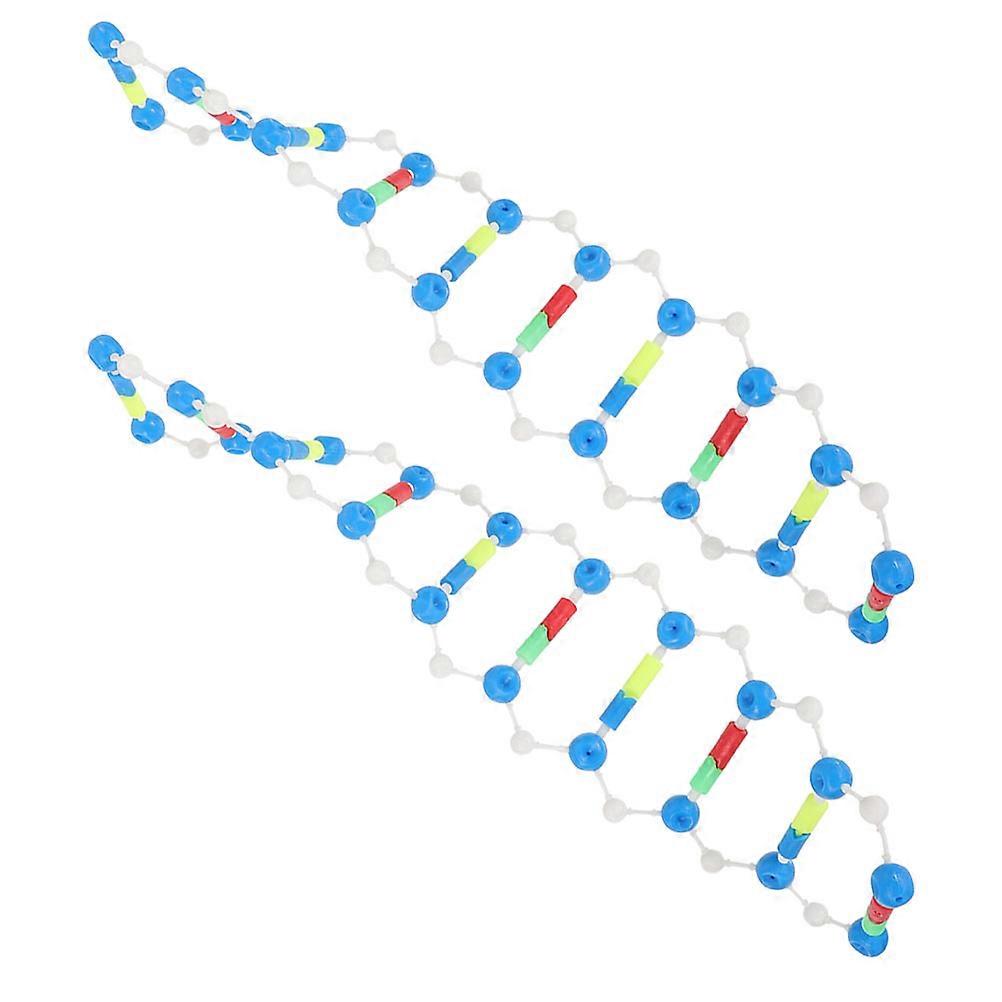Dna Double Helix Tool for Gene Education 2Pcs Kit