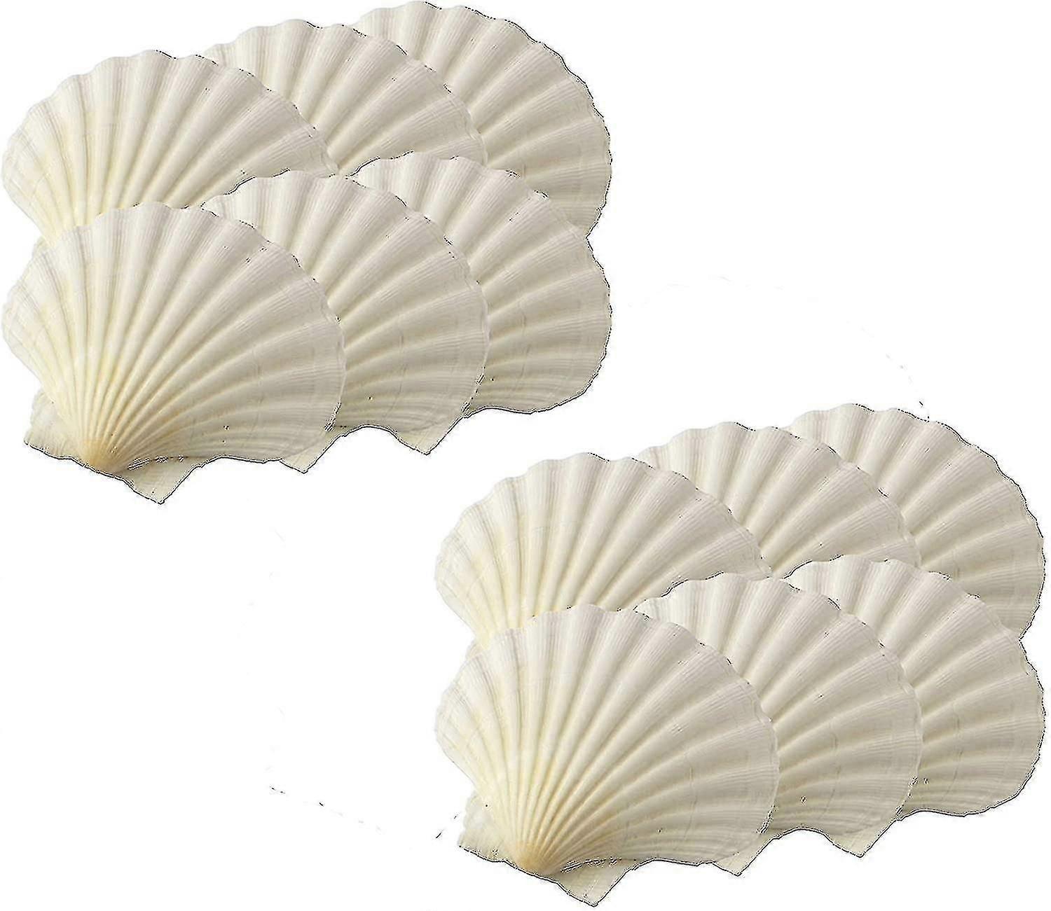 Maine Man Baking Shells - Asse seus pratos favoritos nestas conchas naturais de concha. Com um tamanho de 3,25 polegadas, este conjunto de 12 conchas adiciona um