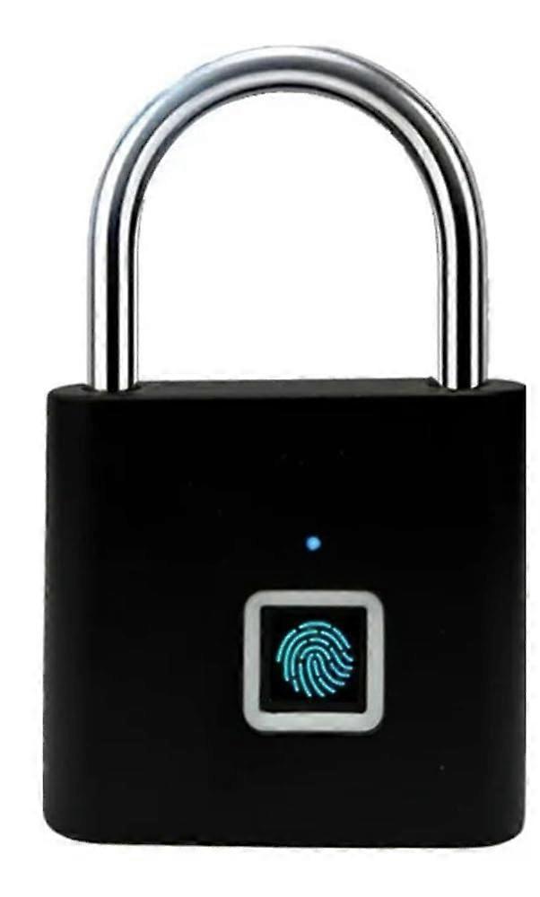 Smart Padlock with Finger Vein Recognition, Outdoor Waterproof Rustproof Biometric Lock, Matte Silver