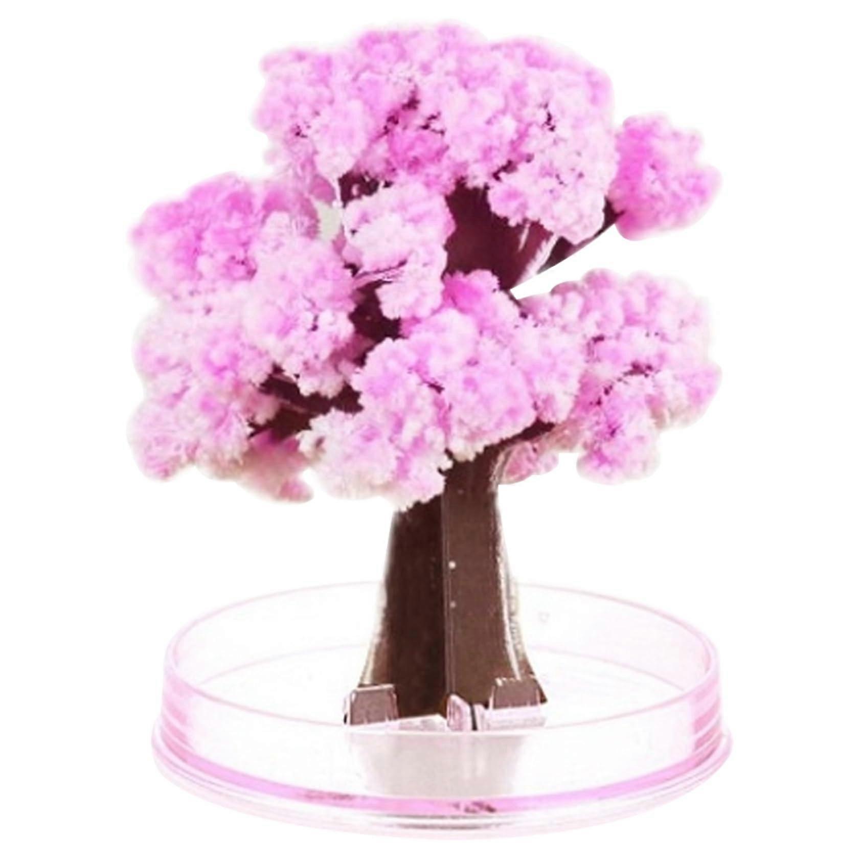 Crystal Growing Kit for Kids  Fast DIY Cherry Blossom Tree Science Set, Educational Gift 2 Sets
