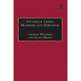 Viktorianisches Verbrechen, Wahnsinn und Sensation (The Nineteenth Century Series)