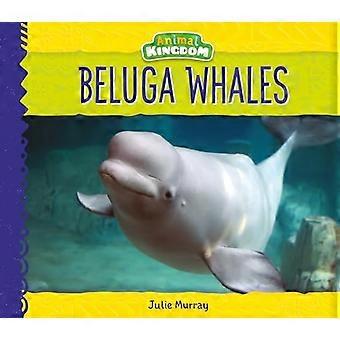 Beluga Walvissen (Animal Kingdom)