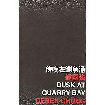 Schemering bij Quarry Bay