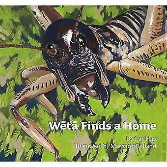 Weta Finds a Home