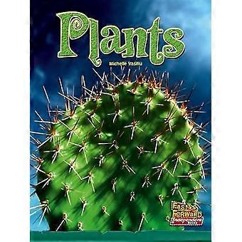 Planter