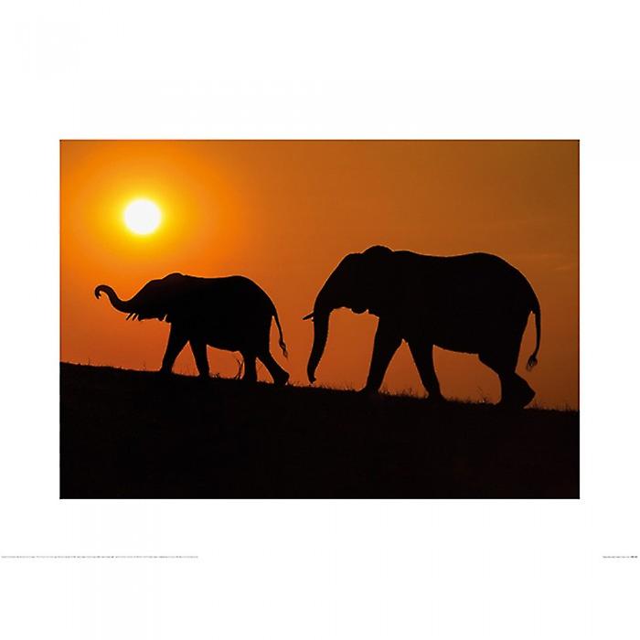 Mario Moreno Chobe Silhouettes Poster