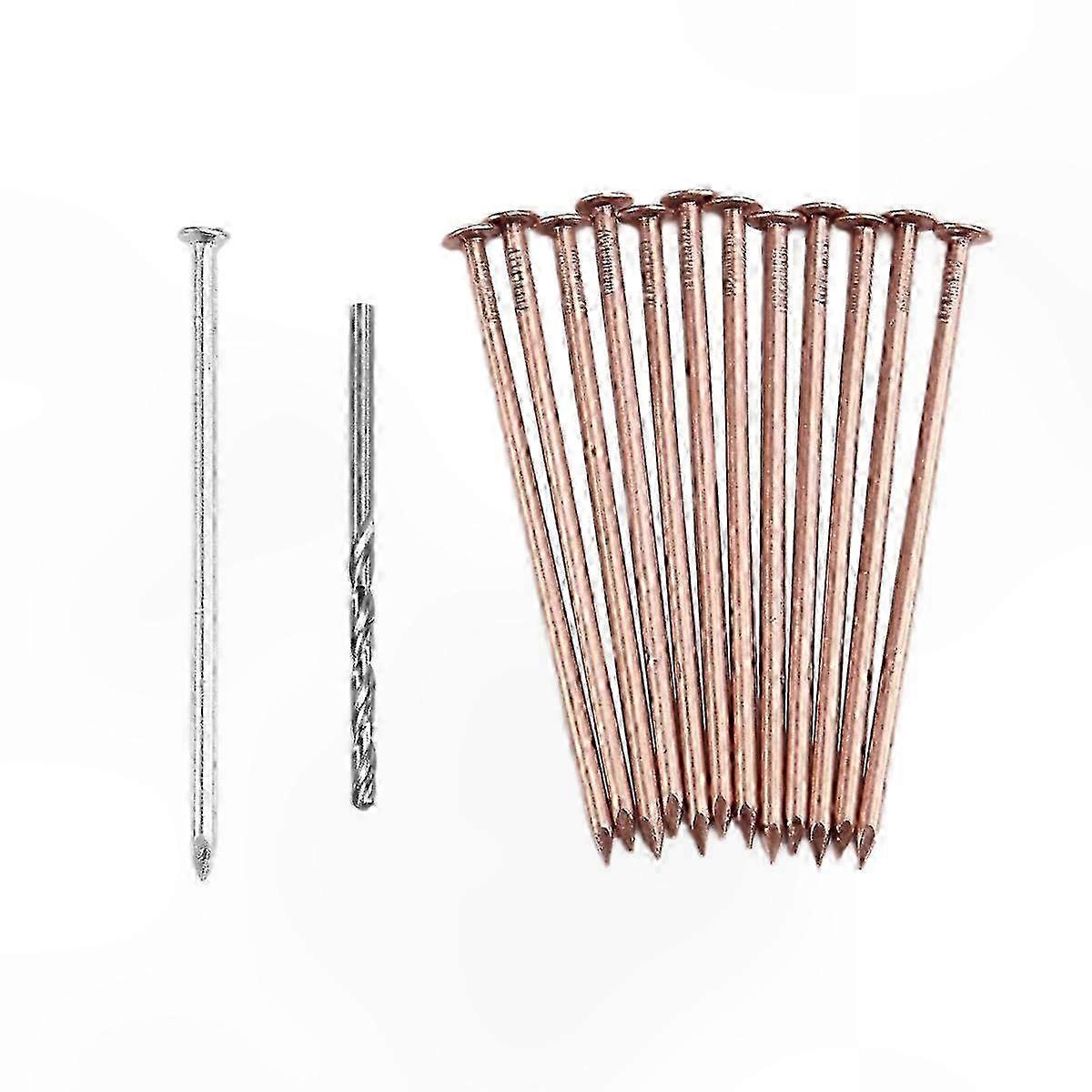 3.5 Inch Copper Root Kill Kit