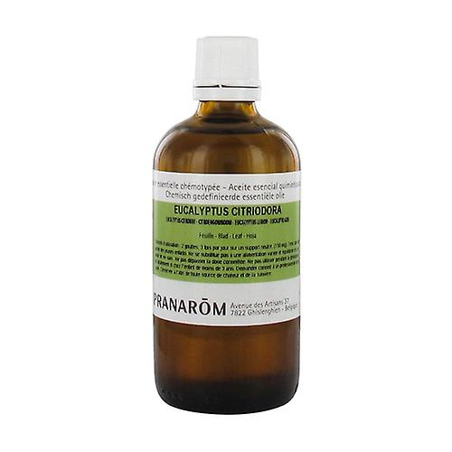 Lemon Eucalyptus chemotyped essential oil - leaf 100 ml of essential oil (Eucalyptus)