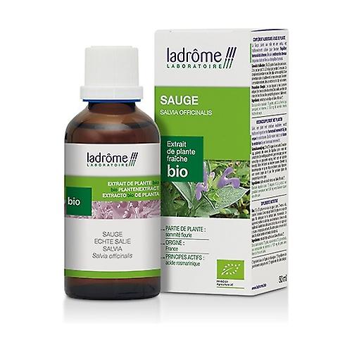 Fresh plant extract Sage 50 ml