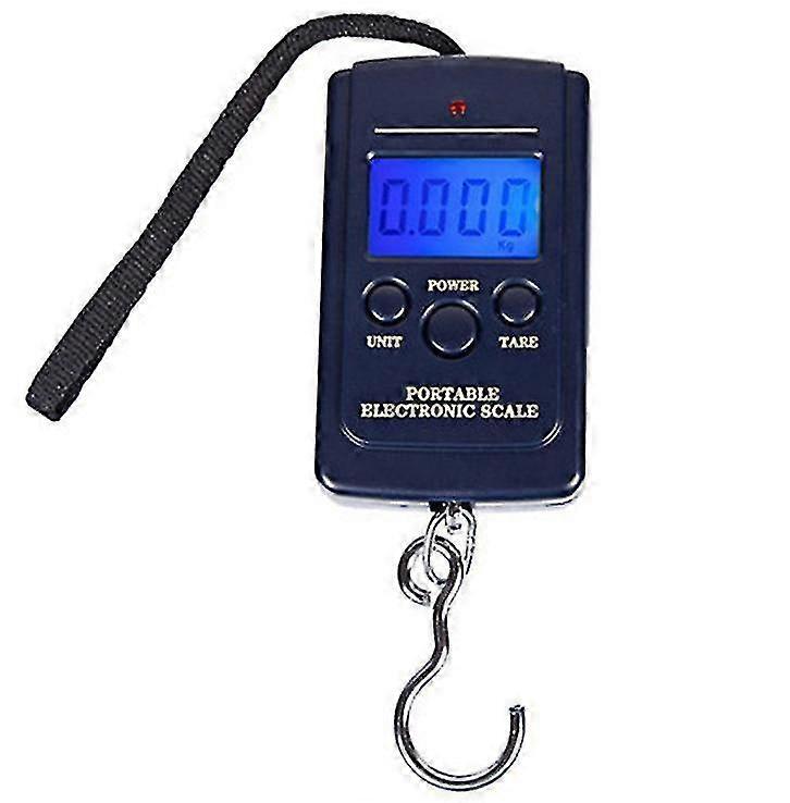 Portable Mini Digital Scale - Hanging Fishing Pocket Weight Balance with Temperature Display