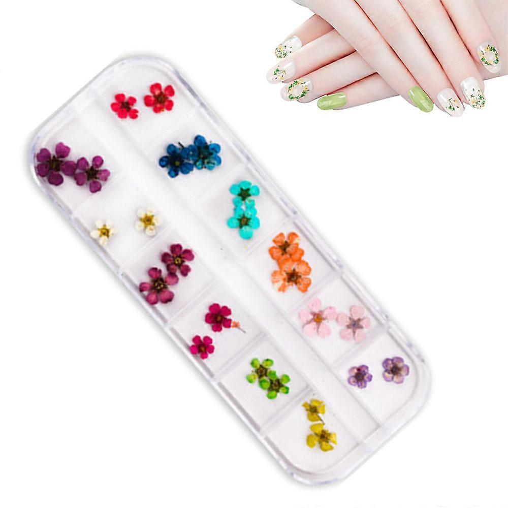 12色3Dネイルアートステッカー1箱リアルドライフラワーネイルアートステッカーマニキュアDIYデザインネイルドライフラワー