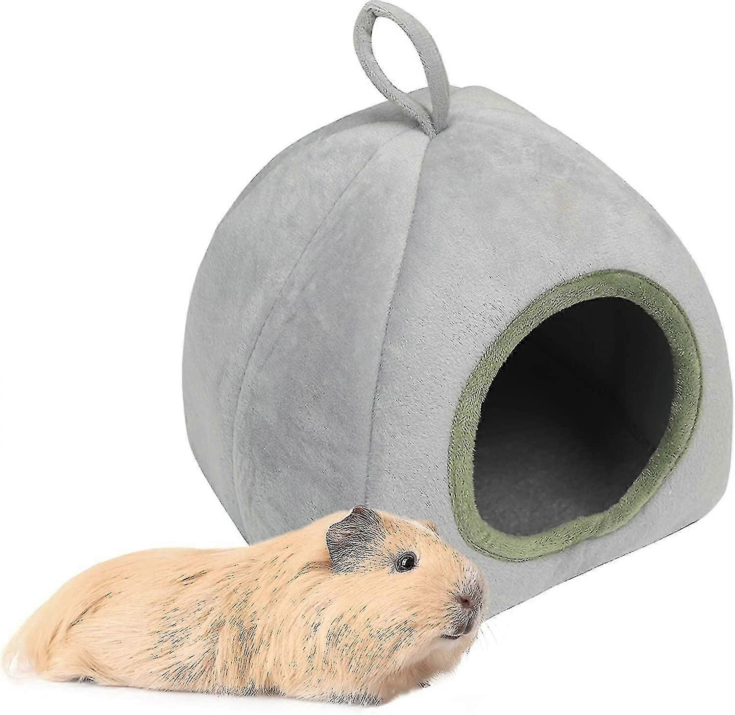 Guinea Pig House Tw