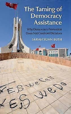 The Taming of Democracy Assistance