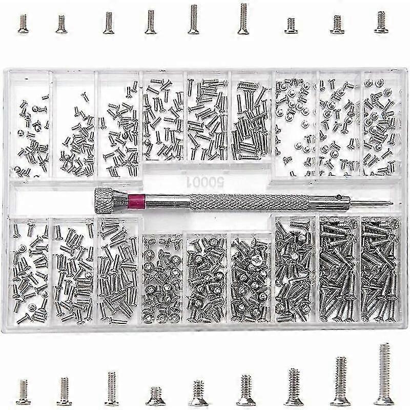 Kit di 500 viti di riparazione micro, viti di riparazione micro M1.2 M1.4 M2, kit di assortimento di piccole viti in acciaio inossidabile con cacciavite, argento