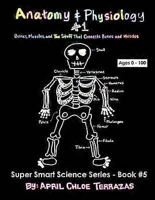 Anatomy  Physiology Part 1 Bones Muscles and the Stuff That Connects Bones and Muscles Super Smart Science