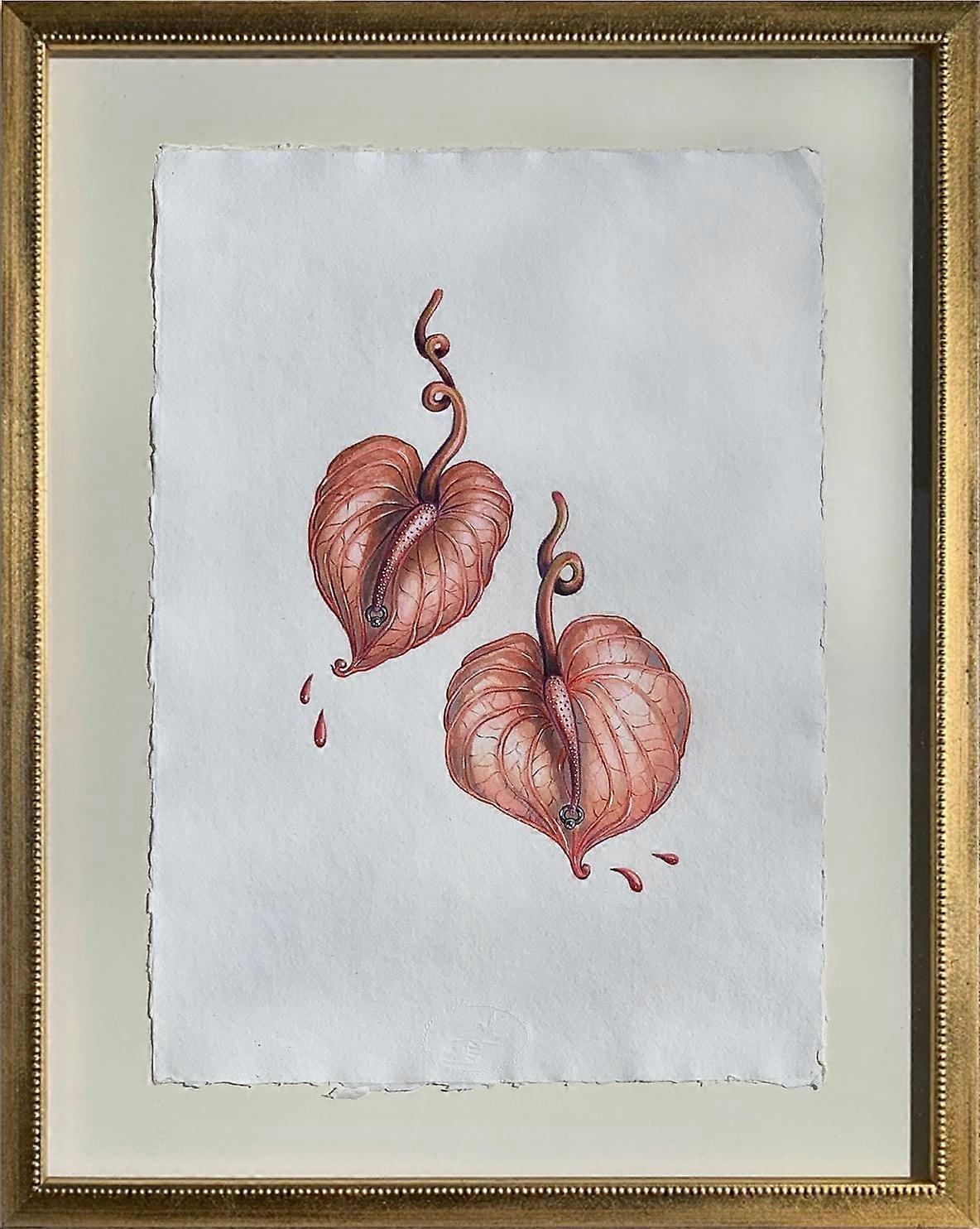 Silviya Neri Anthuriums Botanical Handmade Illustration