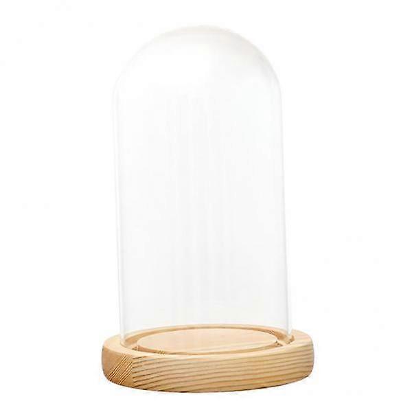 3x Clear with LED B 10x12cm Wood-Based Micro-landscape Stand