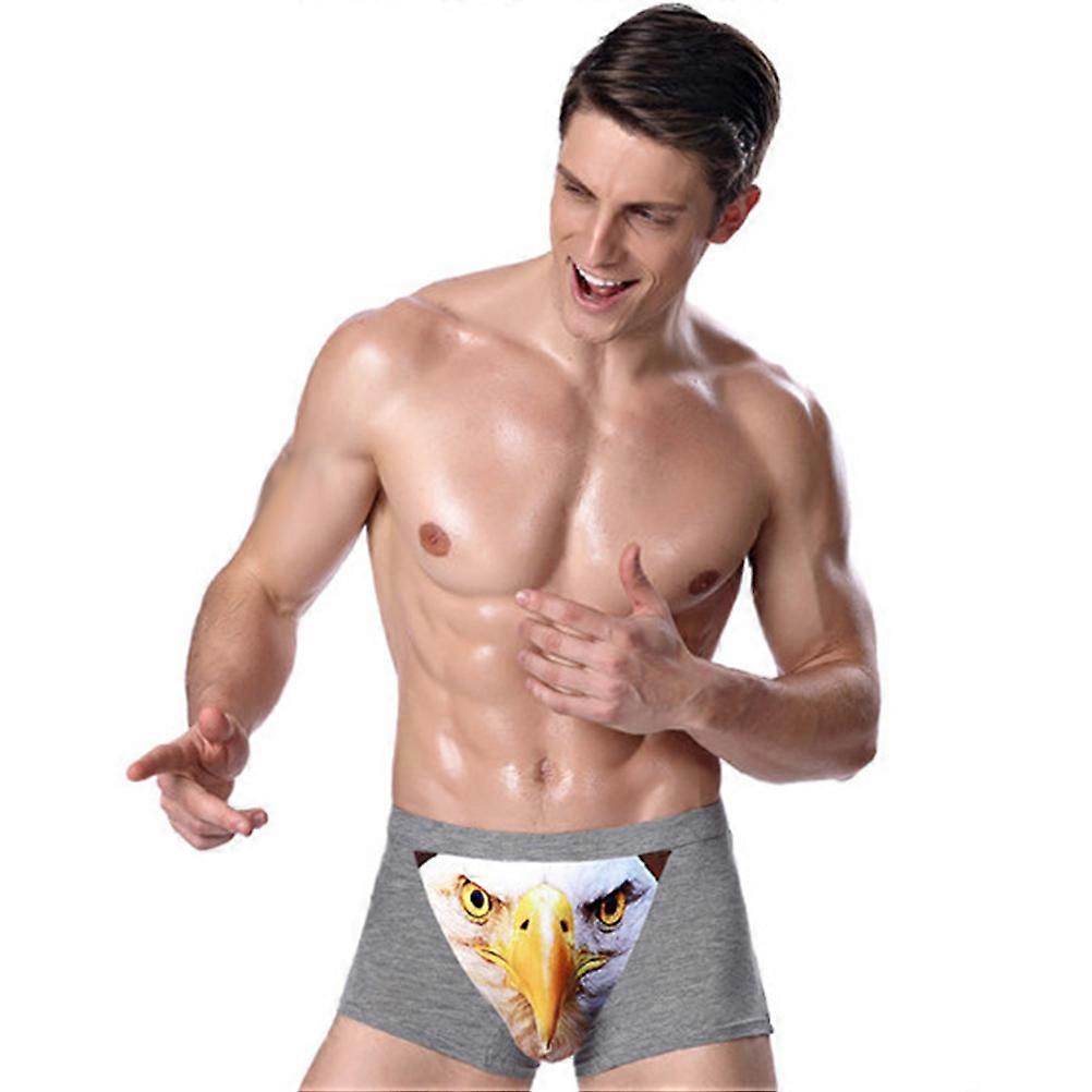 Mens Briefs Underwear Grey 2XL Modal Polyester Elasticity Comfortable Wearing Everyday Wear 1Set