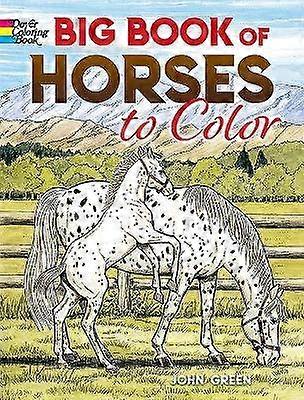 Libro grande de caballos a Color