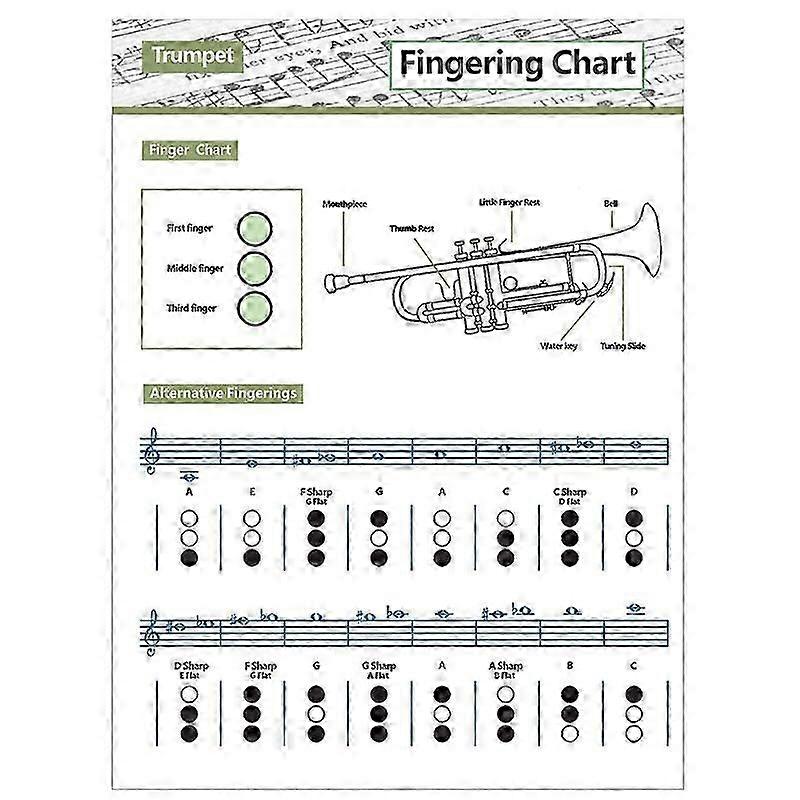 Trumpet Fingering Chart Poster - Complete Practice Guide with Music Chords for Brass Instrument Learners