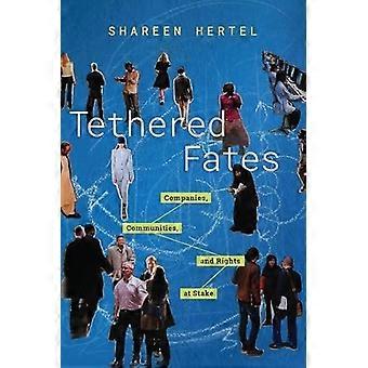 Tethered Fates Companies Communities and Rights at Stake