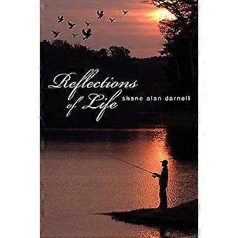 Réflexions de la vie