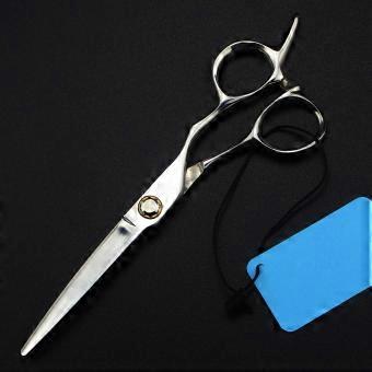 Hairdressing Scissors Set, 6CR Stainless Steel 6 Inch Professional Hair Cutting and Thinning Shears