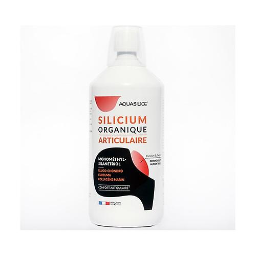 Silicon Monomethylsilanetriol Articular 1 L