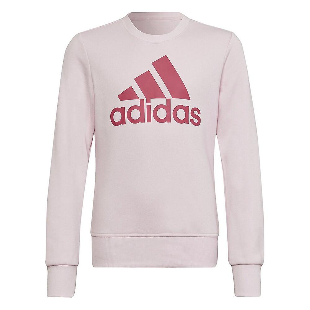 Sweatshirts Adidas Essentials B21309