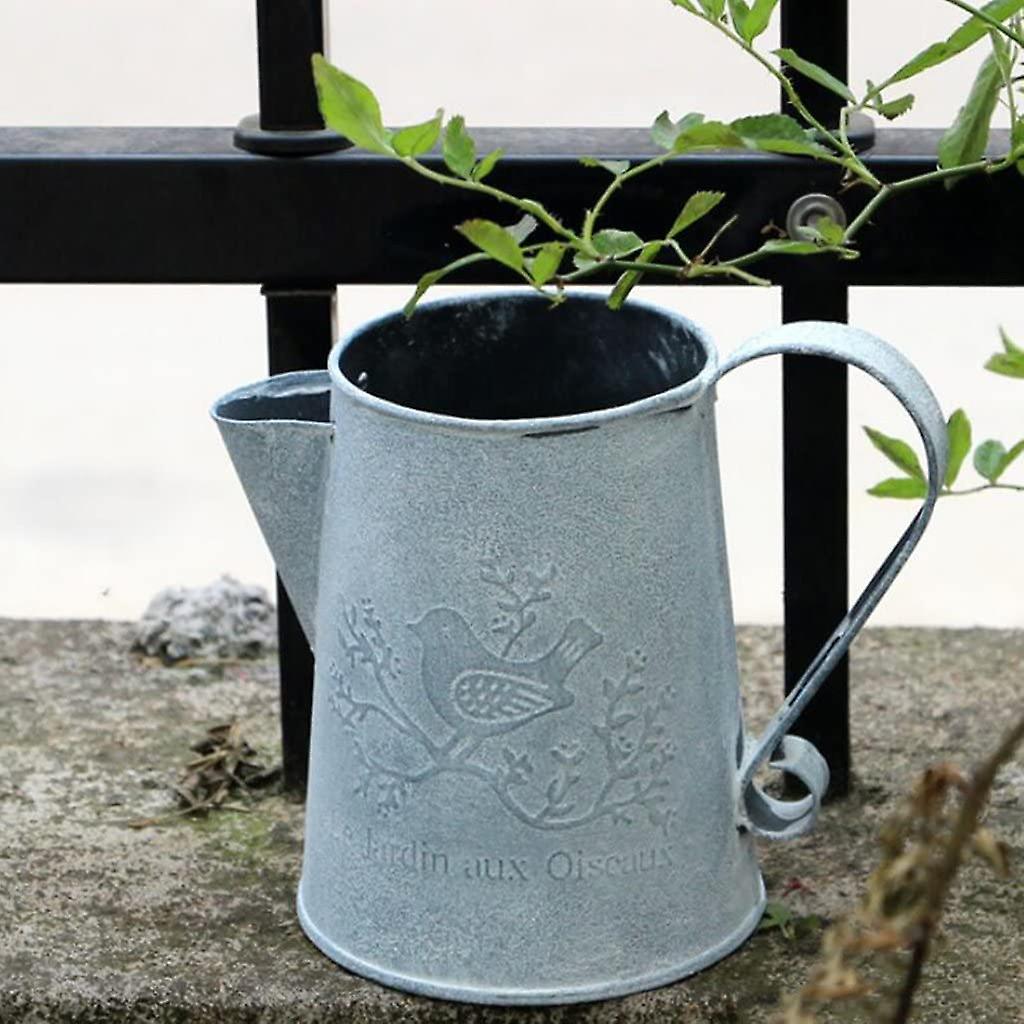 Macetas decorativas galvanizadas YUANXCMXG para plantas en metal n.º 5
