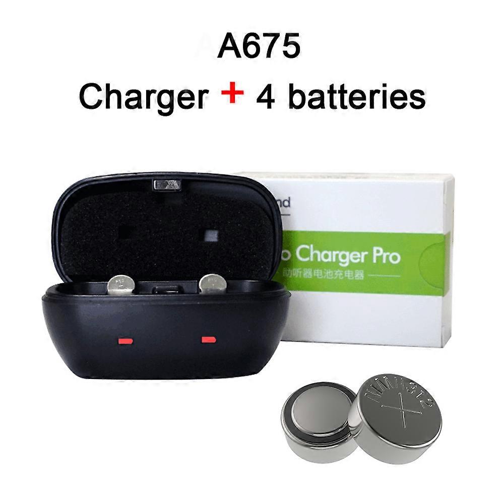 Arysieer A312 A13 A675 Batterie rechargeable pour les piles pour appareils auditifs 312a 675 13 Kit