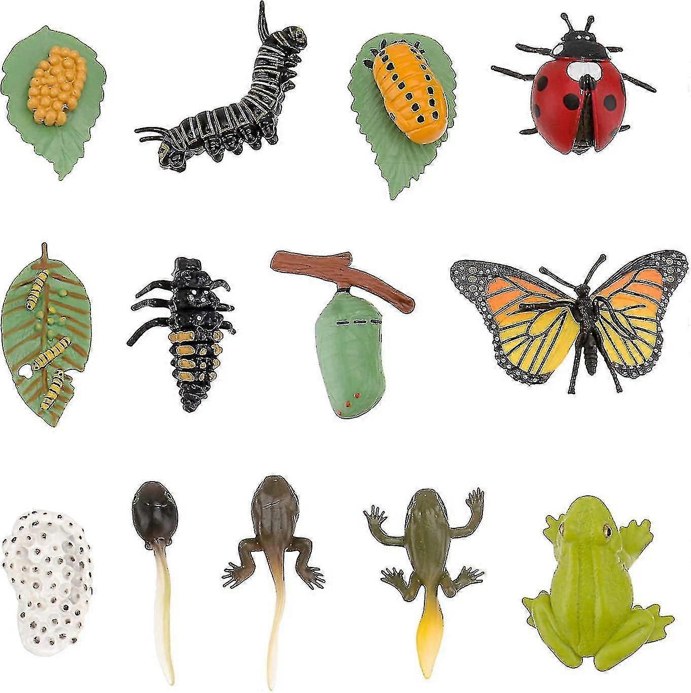 Three-Piece Ladybug Frog and Butterfly Life Cycle Educational Plastic Toys Set