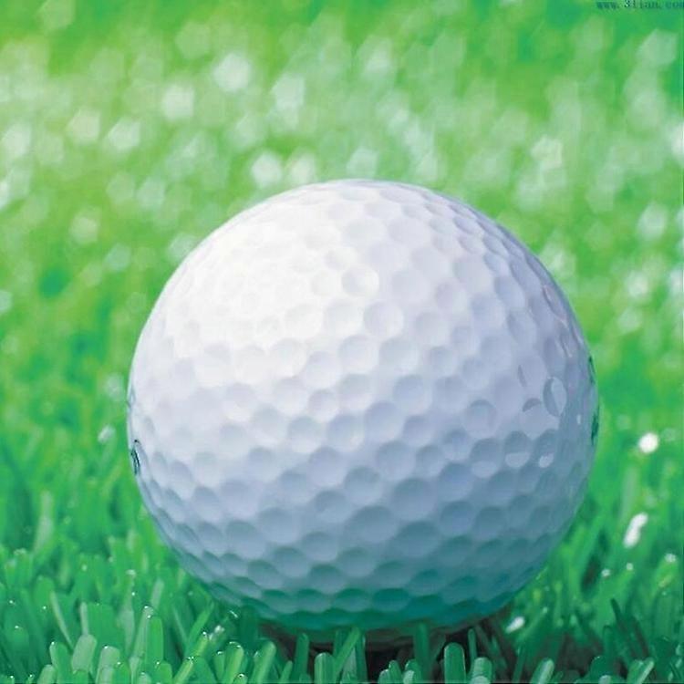 Double Blank Golf Ball