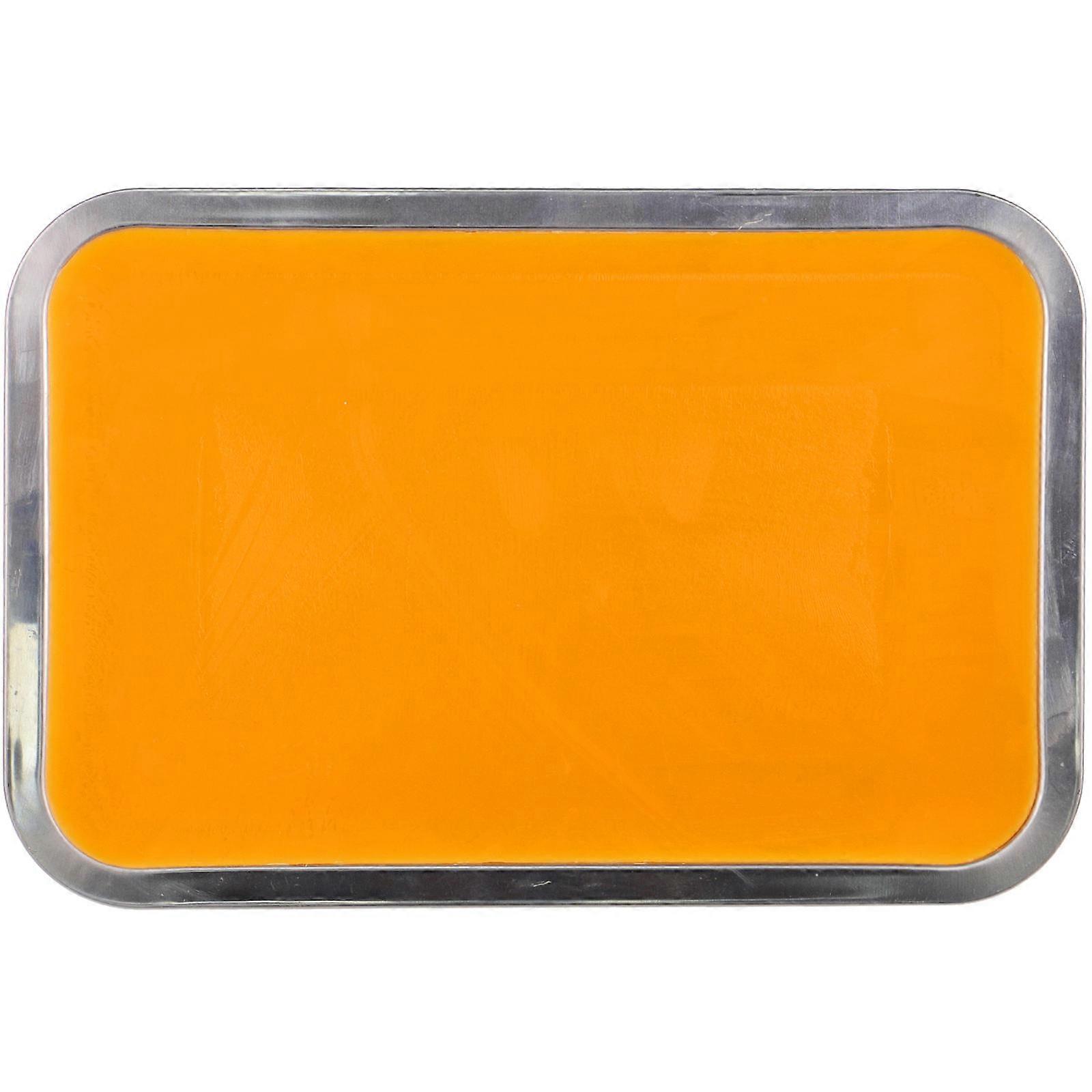 Stainless Steel Dissecting Tray with Wax Lining – Lightweight, Portable Laboratory Pan for Medical Education and Paper Cutting Use
