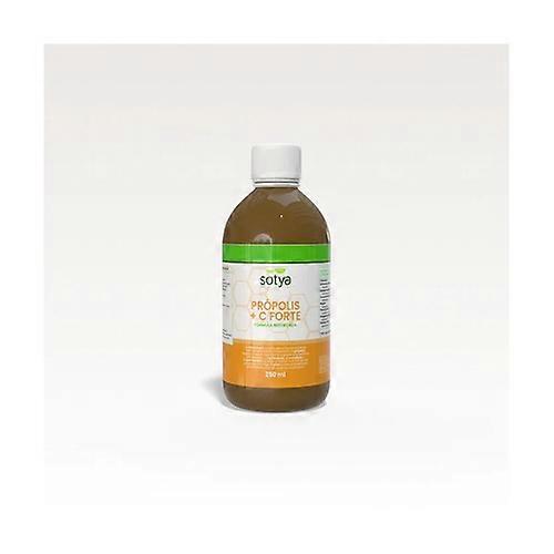 Propolis and Vitamin C Syrup 250 ml