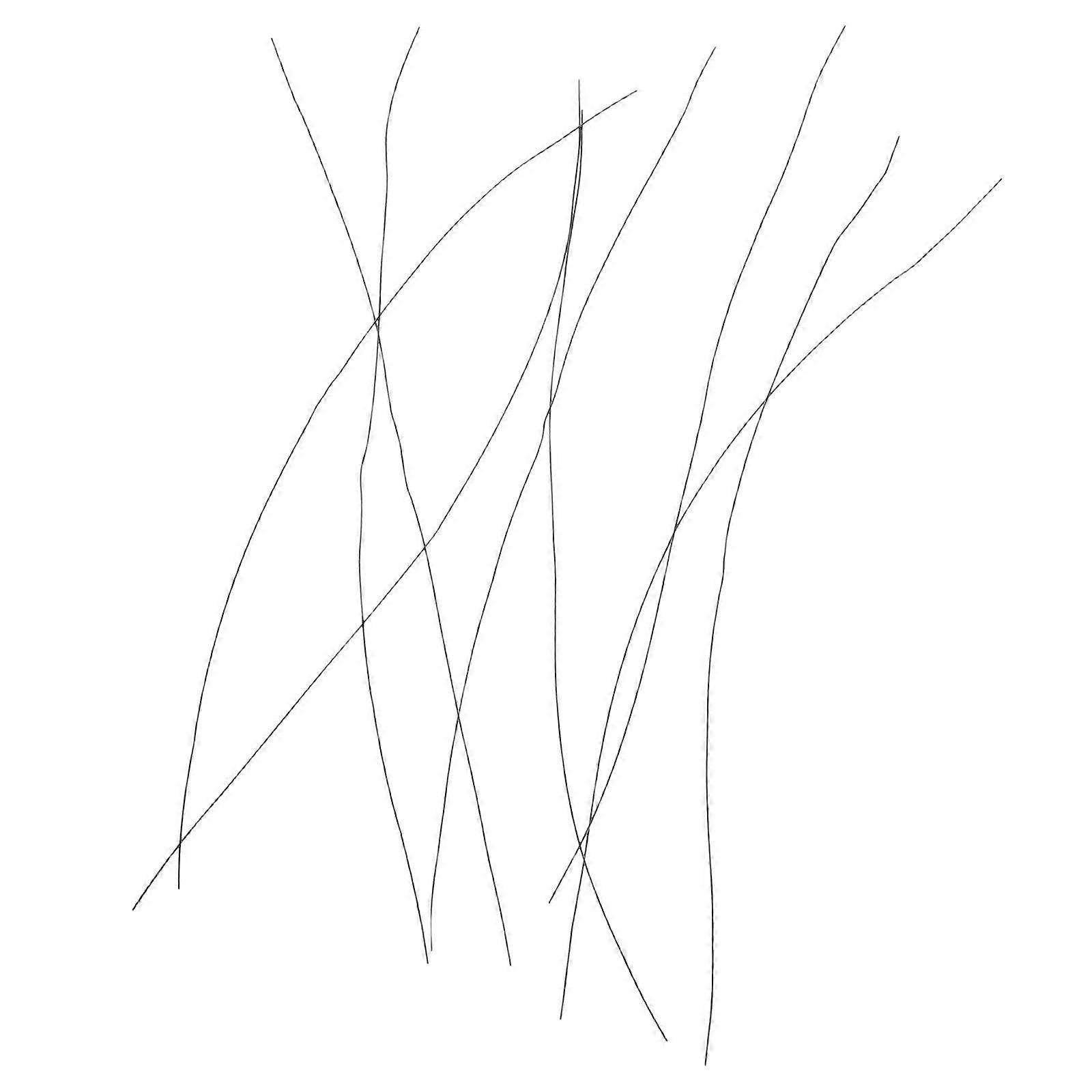 Craft Iron Cat Whiskers for DIY 10Pcs Realistic Simulation Animal Whiskers