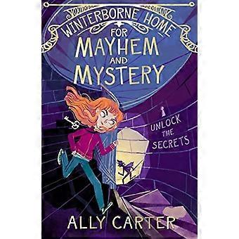 Winterborne Home för förödelse och mystik: Bok 2 (Winterborne Home för hämnd och tapperhet)
