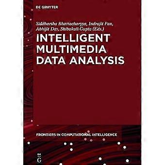 Intelligent multimediedataanalyse (De Gruyter Frontiers in Computational Intelligence)