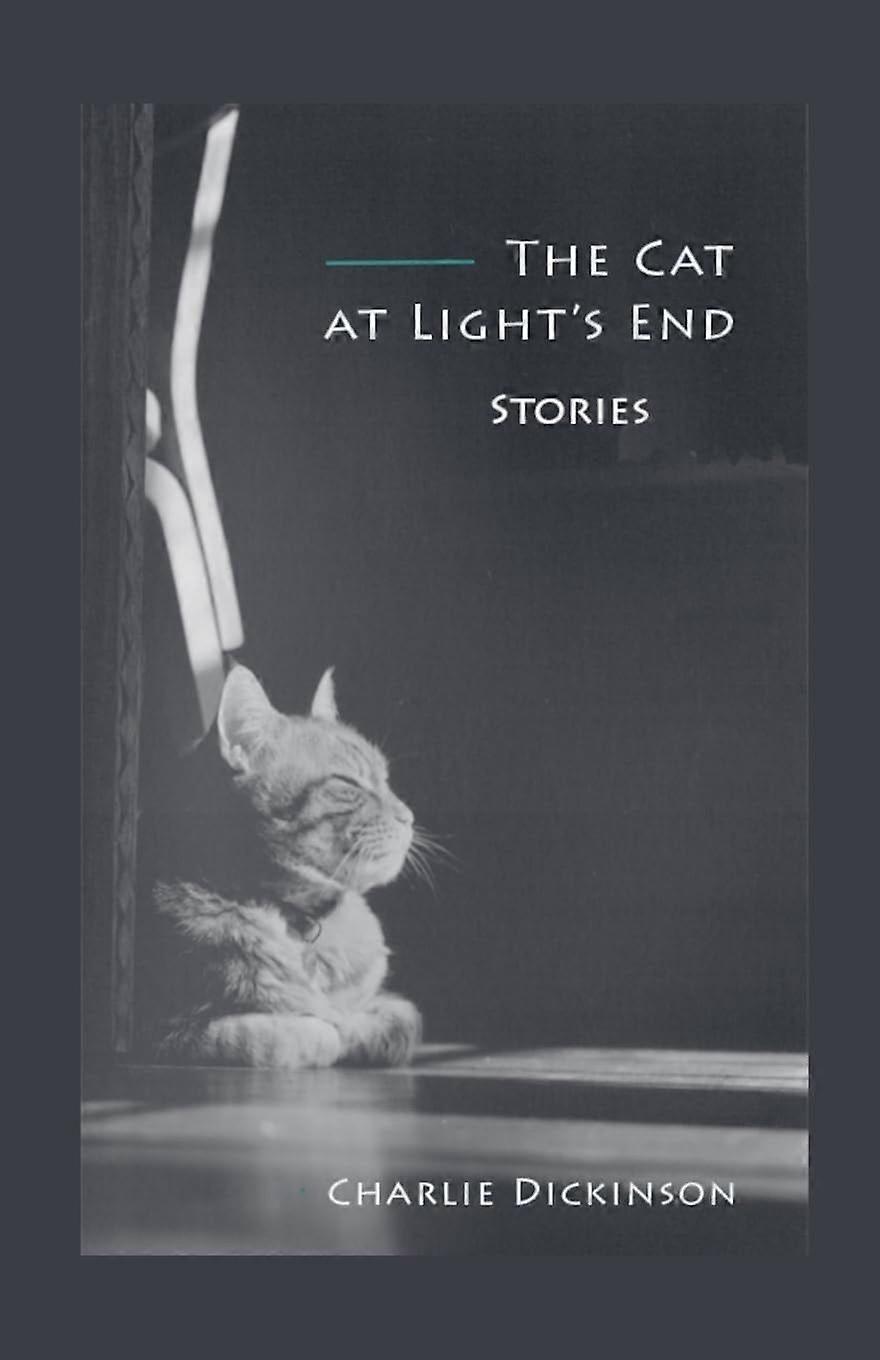 The cat at light's end