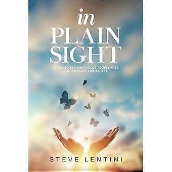 In Plain Sight Learn to See What Most People Miss and Embrace Life as it Is!