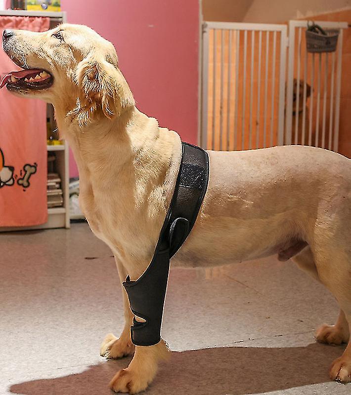 Pet Dog Knee Brace For Acl Knee Cap Dislocation Arthritis Keeps The Joint Warm Extra Support