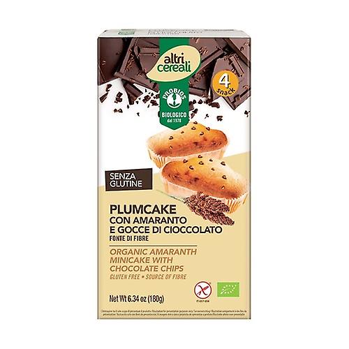 Amaranth plumcake with chocolate chips 4 units of 45g