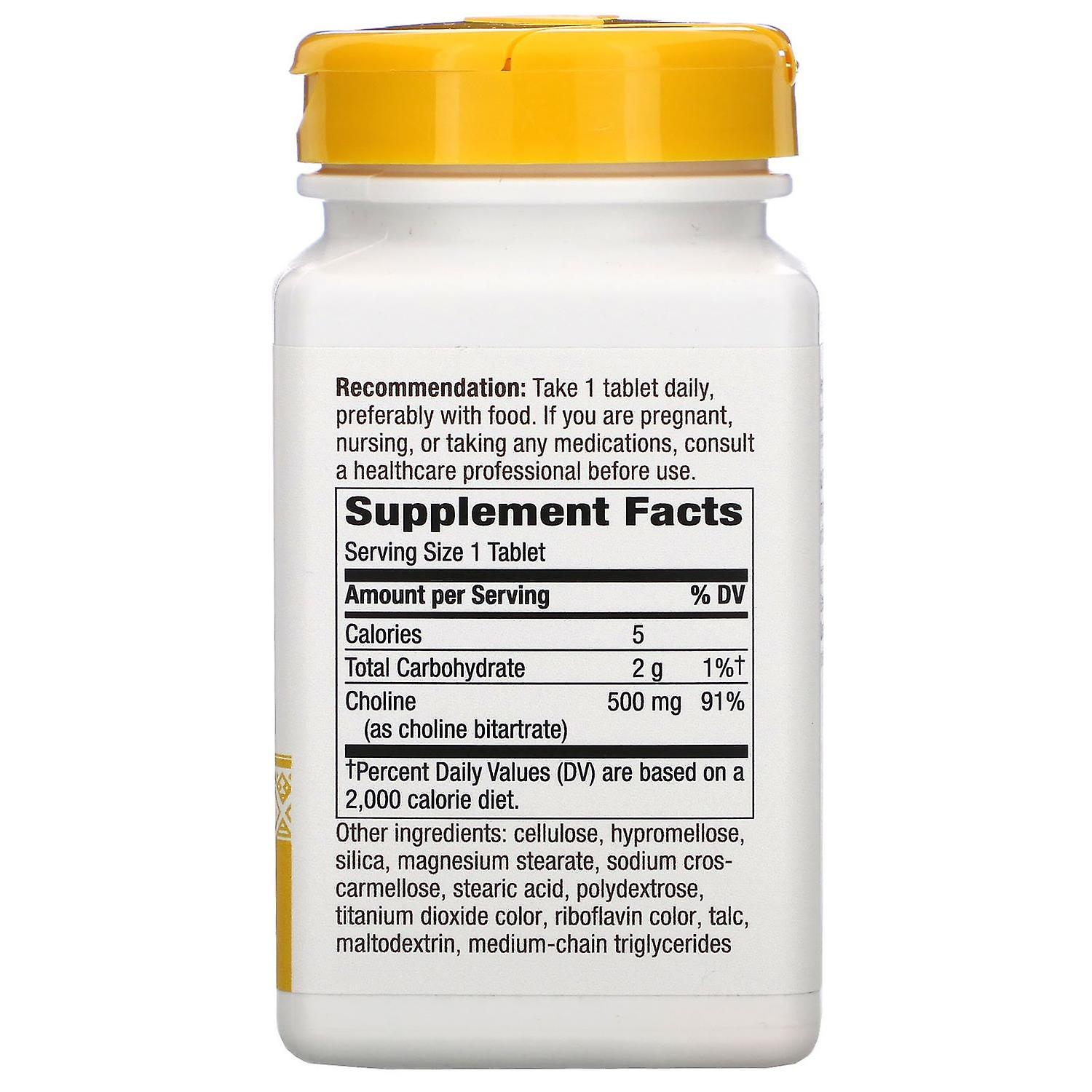 Nature's Way, Choline, 500 mg, 100 Vegan Tablets Fruugo CH