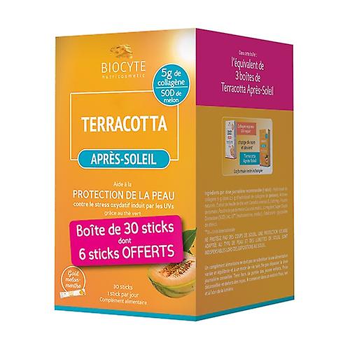 Terracotta after sun pack 20 packets